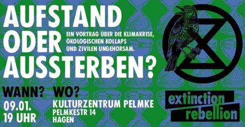 XR – Vortrag über die Klimakrise und zivilen Ungehorsam